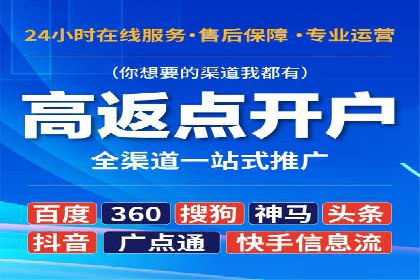 竞价广告投放技巧与案例分析